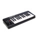 Alesis Q25