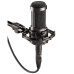 Audio Technica AT2035