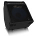 Bugera Ultra Bass BXD15A