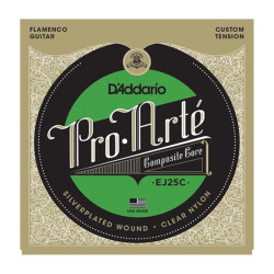 Daddario EJ25C