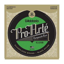 Daddario EJ25B