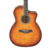 Ibanez A300E VV