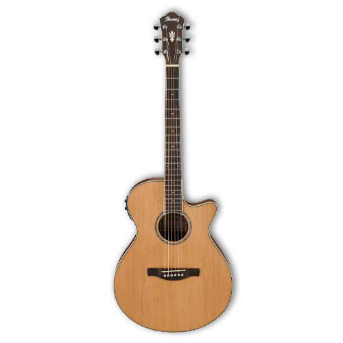 Ibanez AEG15II lG