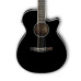 Ibanez AEG8E BK