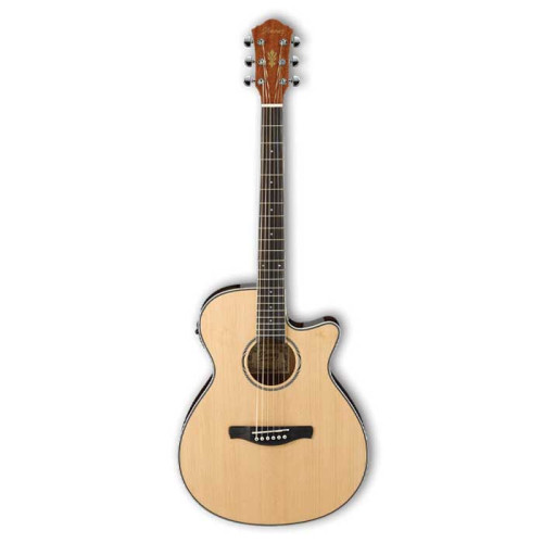 Ibanez AEG8E NT