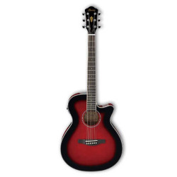 Ibanez AEG8E TRS