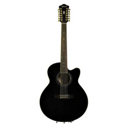 Ibanez AEL2012E TKS