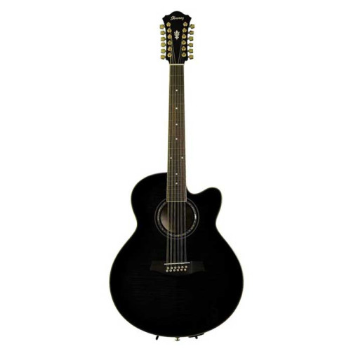 Ibanez AEL2012E TKS
