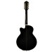 Ibanez AEL2012E TKS
