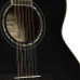 Ibanez AEL2012E TKS