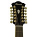 Ibanez AEL2012E TKS