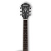 Ibanez AF55 TF