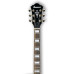 Ibanez AF75 TDG Ibanez AF75 TDG