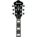 Ibanez AGS73FM TKS Ibanez AGS73FM TKS