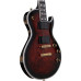 Ibanez ARZIR 20
