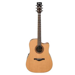 Ibanez AW250ECE LG