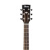 Ibanez AW250ECE LG