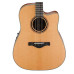 Ibanez AW250ECE LG