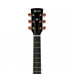 Ibanez AW3000 nt
