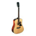 Ibanez AW370