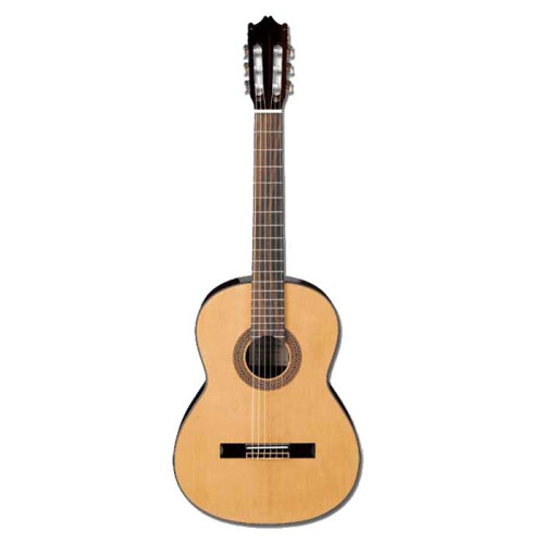 Ibanez G100 NT