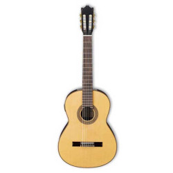 Ibanez G200E NT