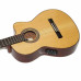 Ibanez G200ECE NT