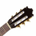Ibanez G200ECE NT