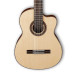 Ibanez G207CWC NT