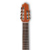 Ibanez G207CWC NT