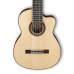 Ibanez G208CWC NT