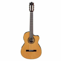 Ibanez G5ECE AM