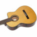 Ibanez G5ECE AM