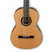 Ibanez GA15 NT