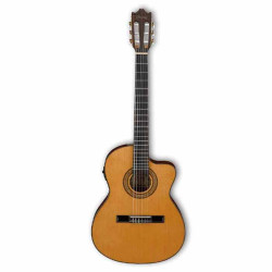 Ibanez GA5TCE AM