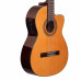 Ibanez GA6CE AM