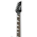 Ibanez GRG255 SV