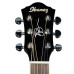 Ibanez JSA5 BK Joe Satriani