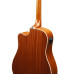 Ibanez PF17ECE LG