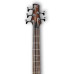 Ibanez SR30TH5 NNF