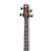 Ibanez SRH500 DEF
