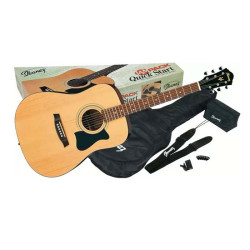 Ibanez V50NJP NT