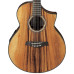 Ibanez EW50
