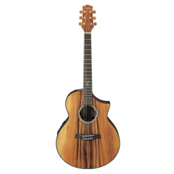 Ibanez EW50