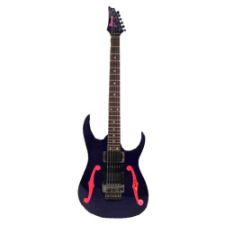 Ibanez PGM30