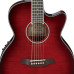 Ibanez AEG24II-THS