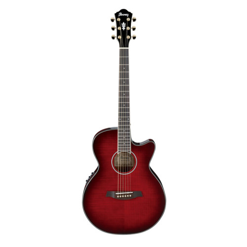 Ibanez AEG24II-THS