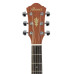 Ibanez AEG8EMH-OPN