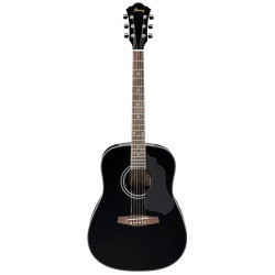 Ibanez SGT120