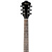 Ibanez SGT120